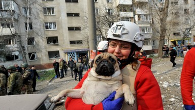 Uniknęła śmierci tylko dlatego, że poszła za koleżankę do pracy. Rosjanie zabili jej dwa mopsy i kota