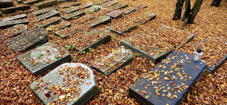 Historie z cmentarzy. Ponad tysiąc życiorysów odtworzonych z nagrobków