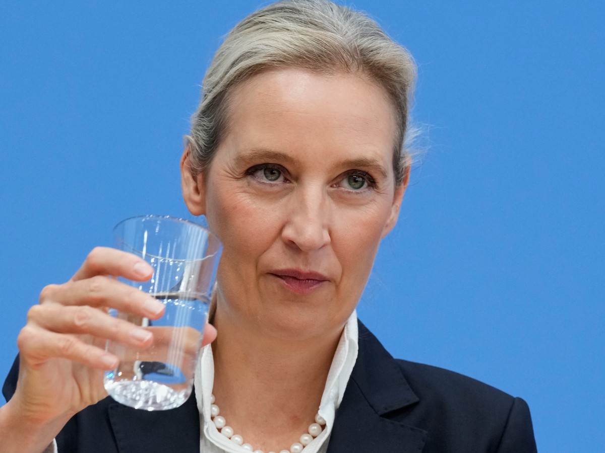 AFD SPREMA VELIKI PREOKRET U EU Evo šta predlažu za evropske institucije