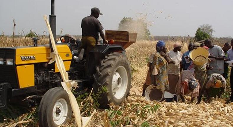 Young Farmers