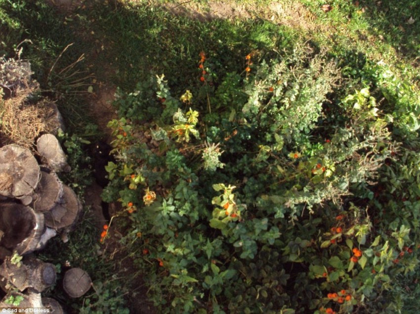 Kliknite za uvećanje (+)