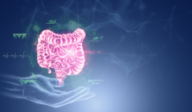 Inflamatorne bolesti creva nisu "samo" problem sa stomakom