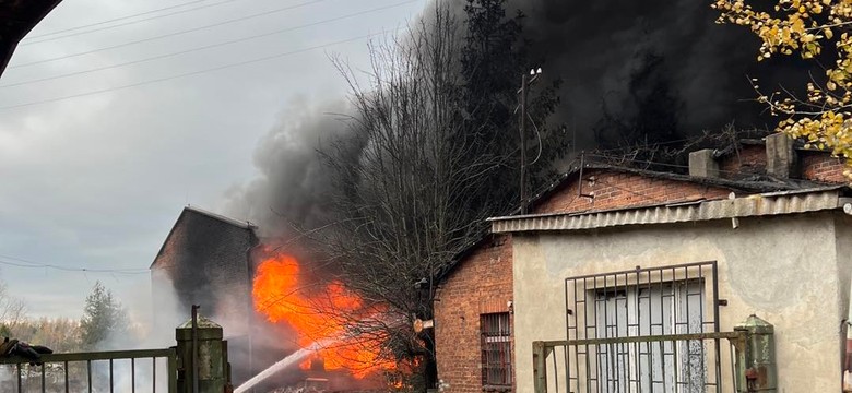 Kędzierzyn-Koźle. Ugaszono pożar nielegalnego składowiska chemikaliów