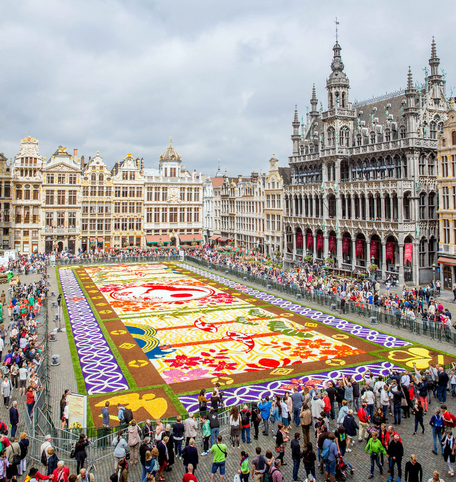 BELGIUM GIANT FLOWER CARPET (20th giant flower carpet in Brussels)