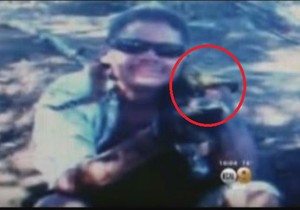 658340_ujed-zmije2-foto-youtube-news-tv