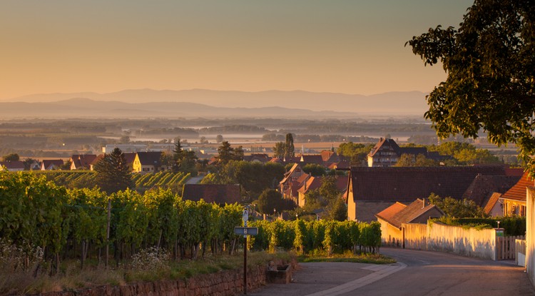 Képünk illusztráció. Getty Images