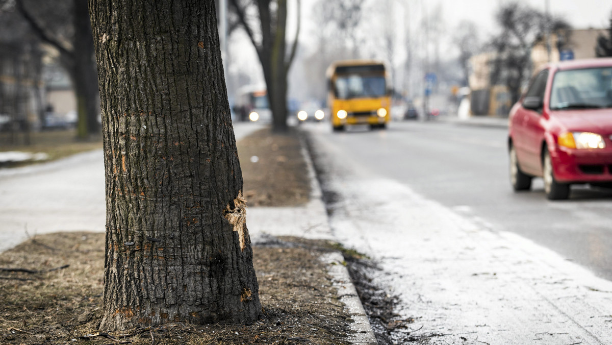 Do 10 listopada krakowska prokuratura przedłużyła śledztwo w sprawie wypadku z udziałem premier Beaty Szydło w Oświęcimiu. Prokuratura nie otrzymała jeszcze opinii biegłych z rekonstrukcji wypadku – ustaliła PAP w Prokuraturze Okręgowej w Krakowie.