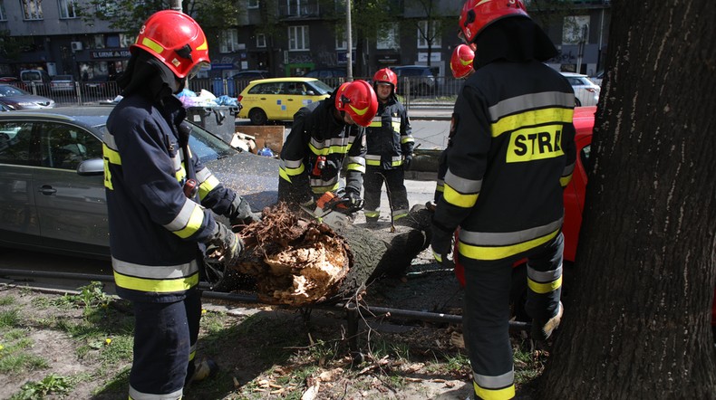 Nad Polską pył znad Sahary. Burze piaskowe i pożary