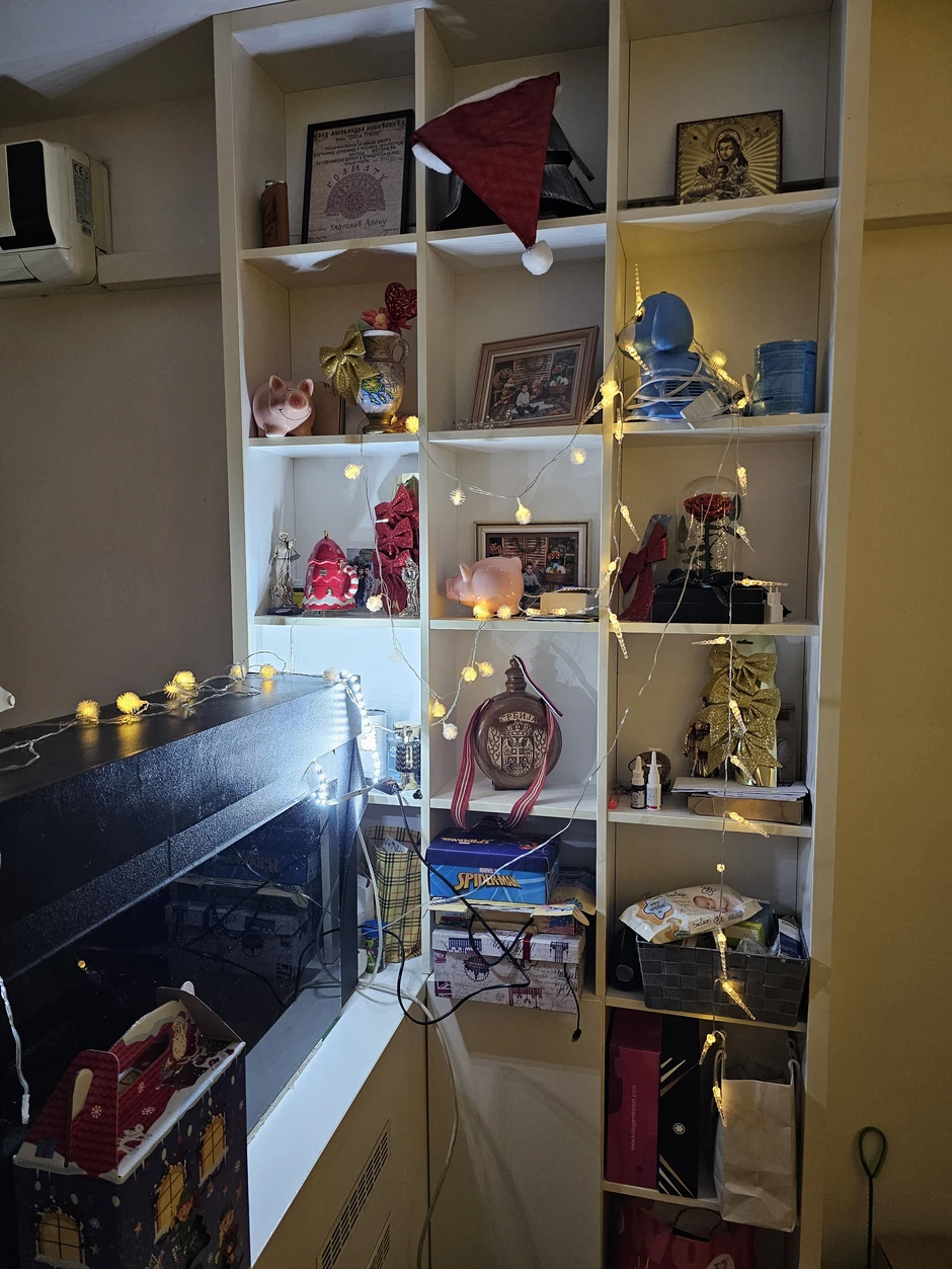 Porodica Maje i Alena Hadrovića