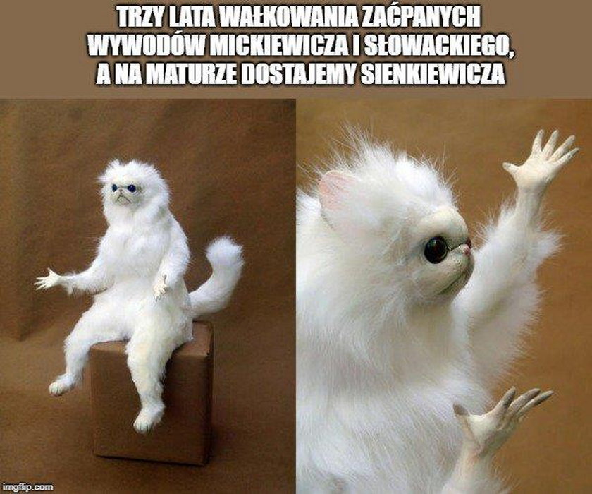 Matura 2019. Memy o egzaminie maturalnym