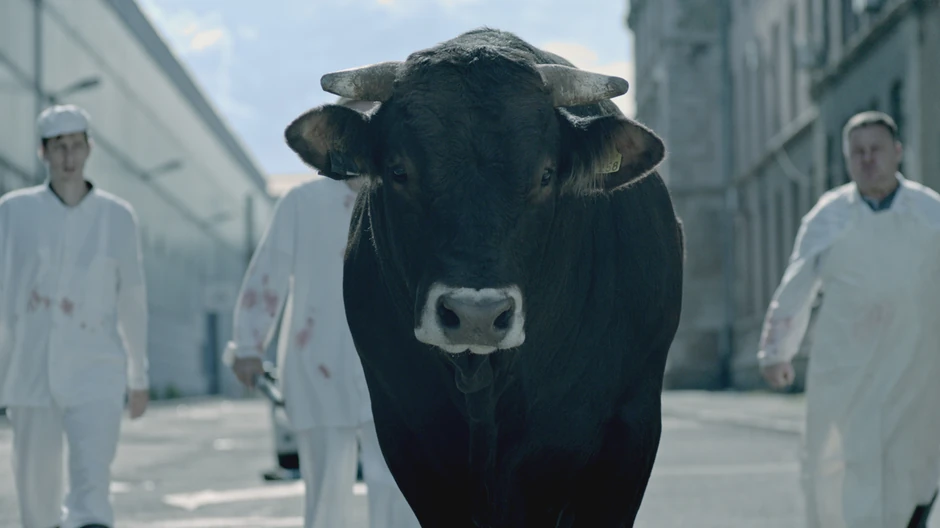 Kadar iz filma "Bik"