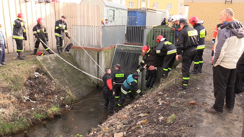 Ratowali pijanego, który wpadł do strumyka