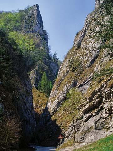 Galeria Najpiękniejsze góry Słowacji, obrazek 55