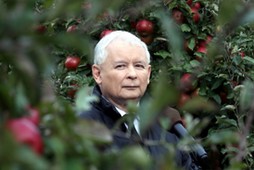 Jarosław Kaczyński