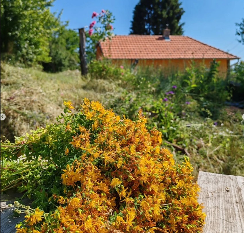 Dinčino imanje 