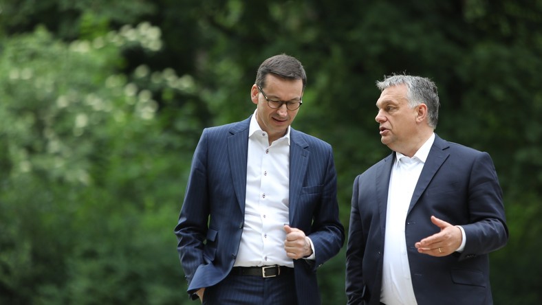 Instytut Współpracy Pis U I Fideszu Jak Rząd Za Miliony