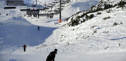 Narciarze przerażeni. Po stoku biegał niedźwiedź