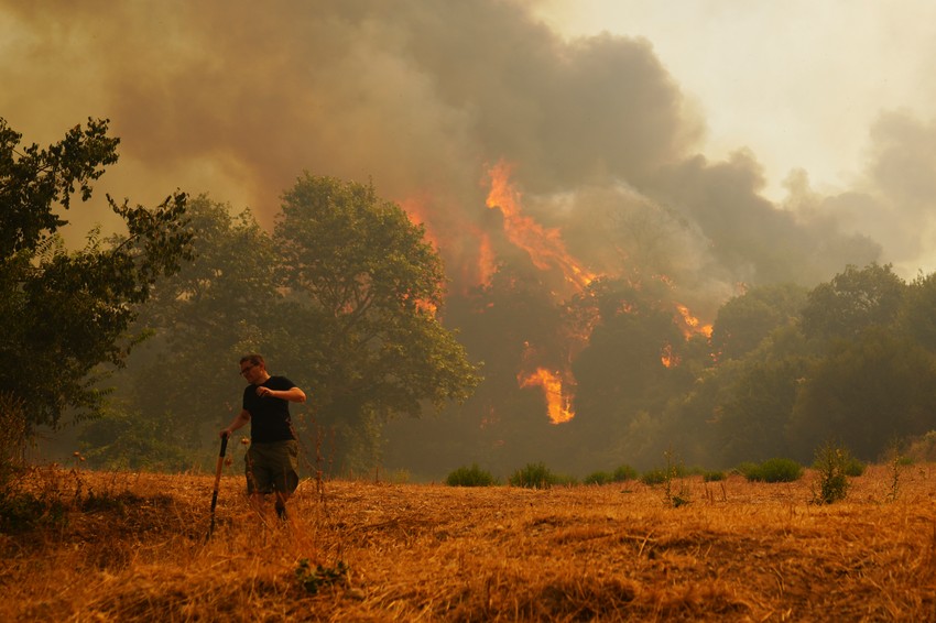Požari u Grčkoj - Vounteni u predgrađu Patrasa na zapadu zemlje 13. avgusta
