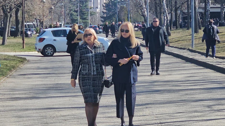 Goca i Ilda Šaulić