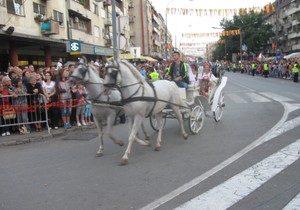 510321_pozarevac-ljubicevske-konjicke-igre-defile-svetislav-mirkovic