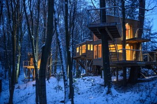 Pierwszy taki hotel w Polsce. Apartamenty na... drzewach [ZDJĘCIA]