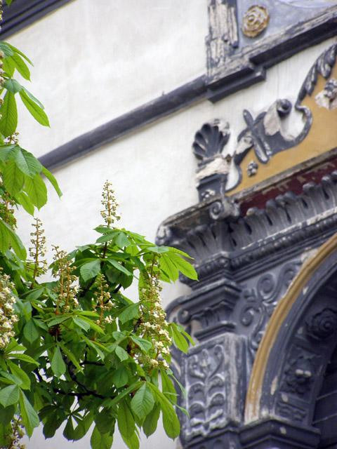 Galeria Polska - Kazimierz Dolny nad Wisłą, obrazek 7