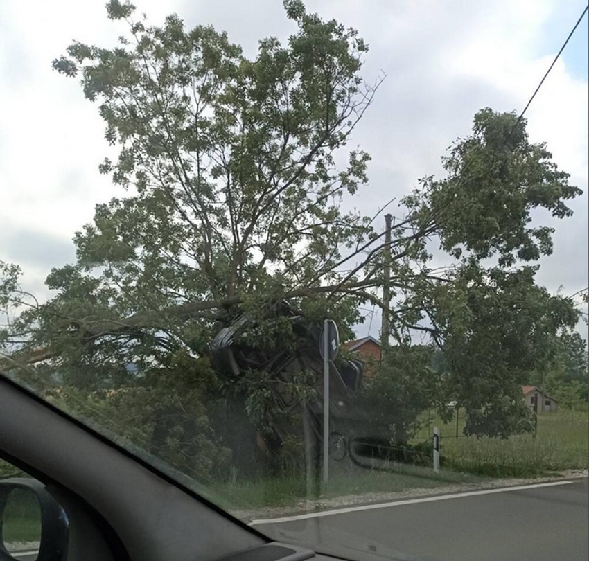 Automobil je završio u drvetu!