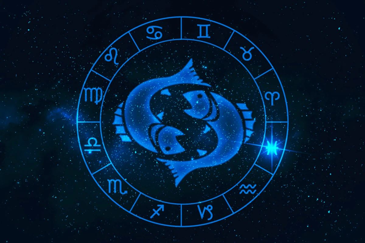 Ryby Charakterystyka Twojego Znaku Zodiaku Dziennikpl 2856