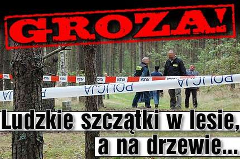 Groza! Ludzkie szczątki w lesie, a na drzewie...