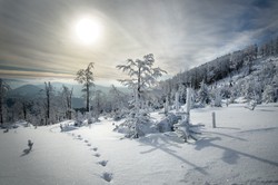 Gdzie spadnie najwięcej śniegu? Najnowsza prognoza pogody