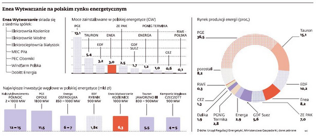 Enea Wytwarzanie na Polskim rynku energetycznym