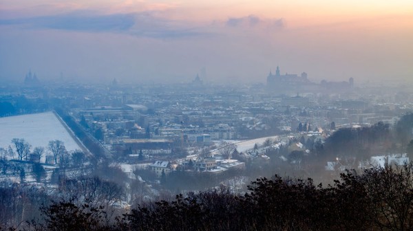 Zakaz stosowania paliw stałych w Krakowie został wprowadzony uchwałą Sejmiku Województwa Małopolskiego z dnia 15 stycznia 2016 r.