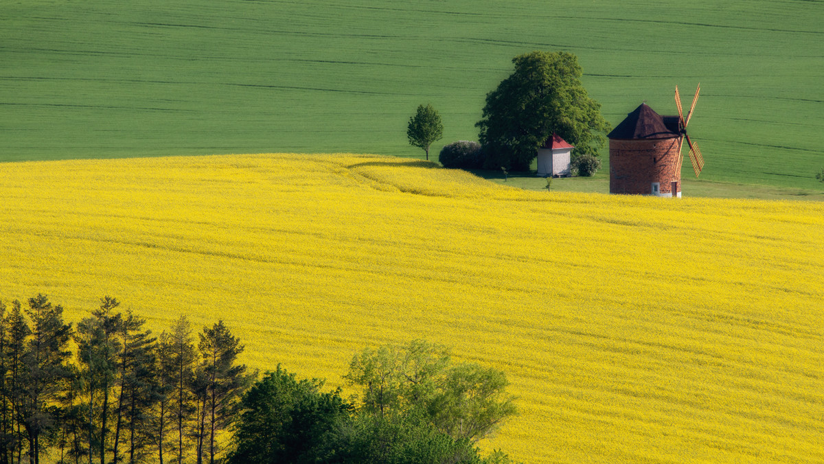 Faliste pola Moraw Południowych