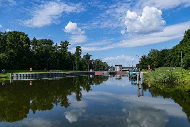 Na Kanale Gliwickim znowu zakwitła złota alga. Trwa walka z czasem i zagrożeniem