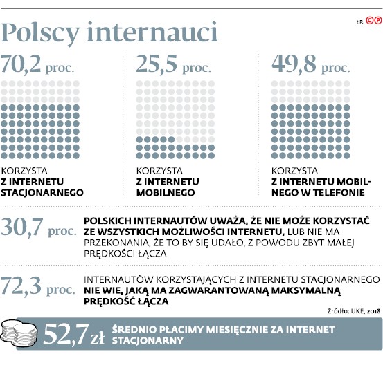 Polscy internauci