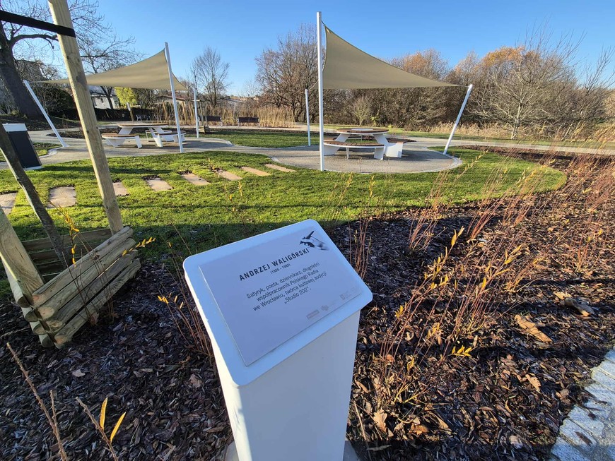 Perk Literacki na Złotnikach - drzewo Andrzeja Waligórskiego