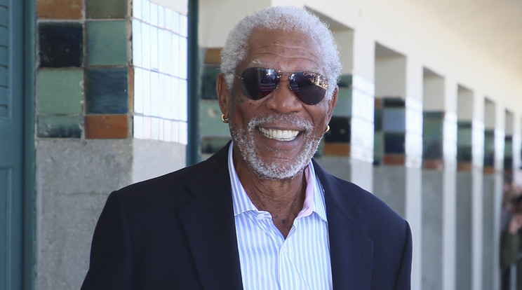 Morgan Freeman szeretné megmenteni a méheket/Fotó:Northfoto