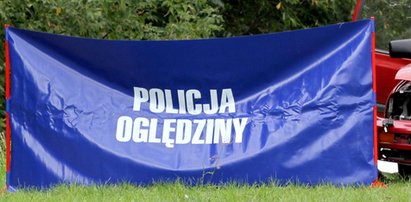 Tragiczny wypadek pod Włocławkiem. Kierowca uderzył w dzika, obejrzał auto i po chwili zmarł