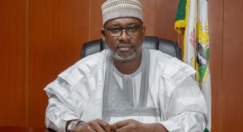 Mr Suleiman Adamu, the Minister of Water Resources [The Nation]