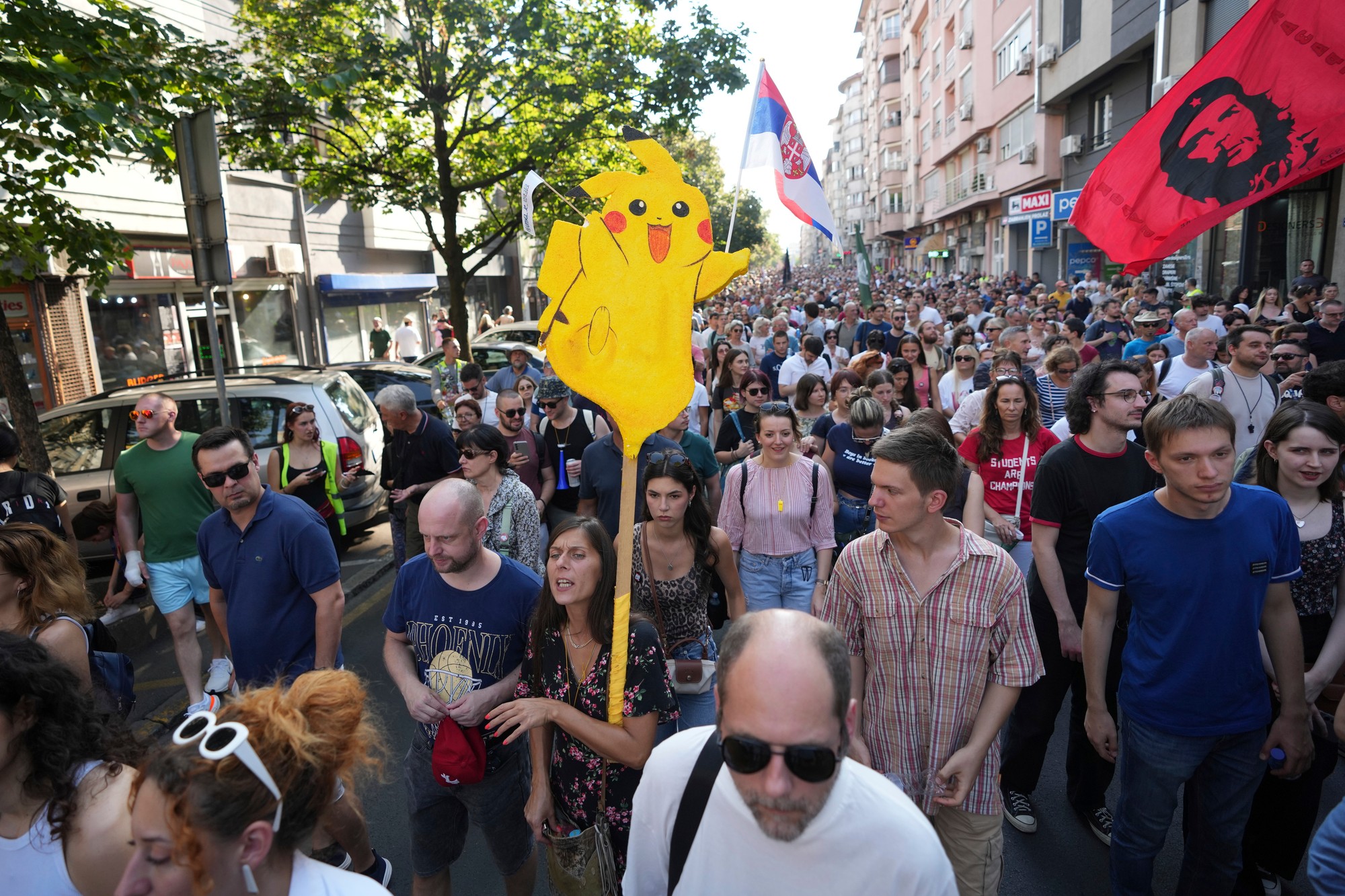 Protestujúci žiadali potrestanie policajtov zodpovedných za neprimerané použitie sily ako aj za údajné vyhrážky znásilnenia voči študentke Nikoline Sindjelicovej.