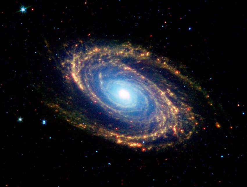 Spiralna galaksija M81