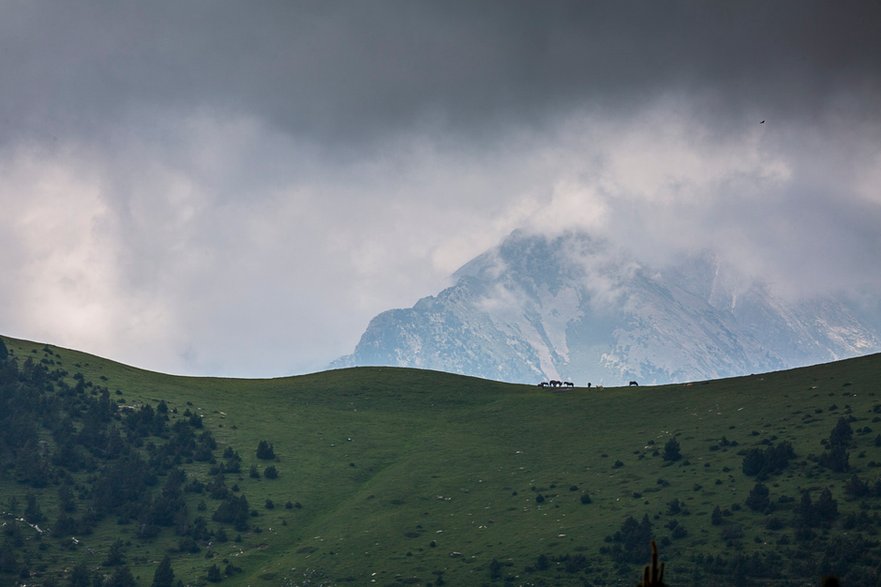 Pireneje, Anioł i inni