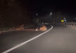 Devojka se zaustavila kako bi uklonila stenu nasred puta