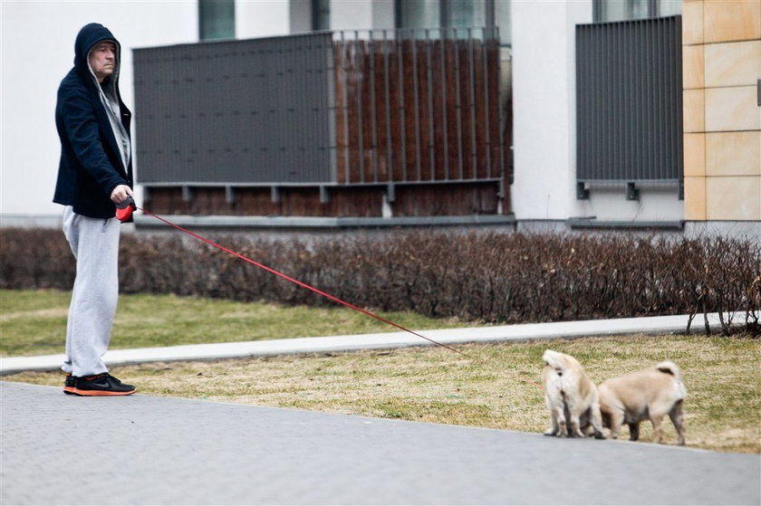 Polski aktor świeci przykładem i sprząta po psach. FOTO