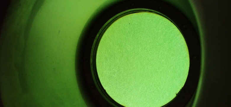 Małże w akwarium, ogród na dachu i plan zdjęciowy "Czterdziestolatka". Filtry Warszawskie za zamkniętymi drzwiami. ZDJĘCIA