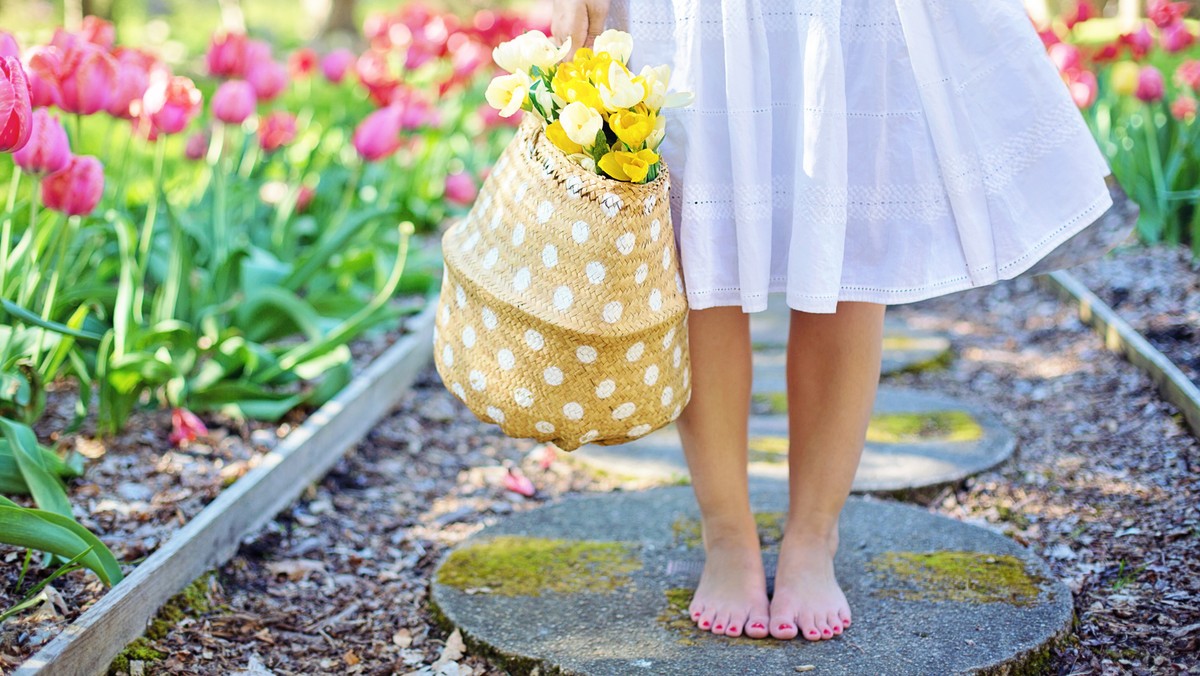 barefoot-basket-blooming-413707