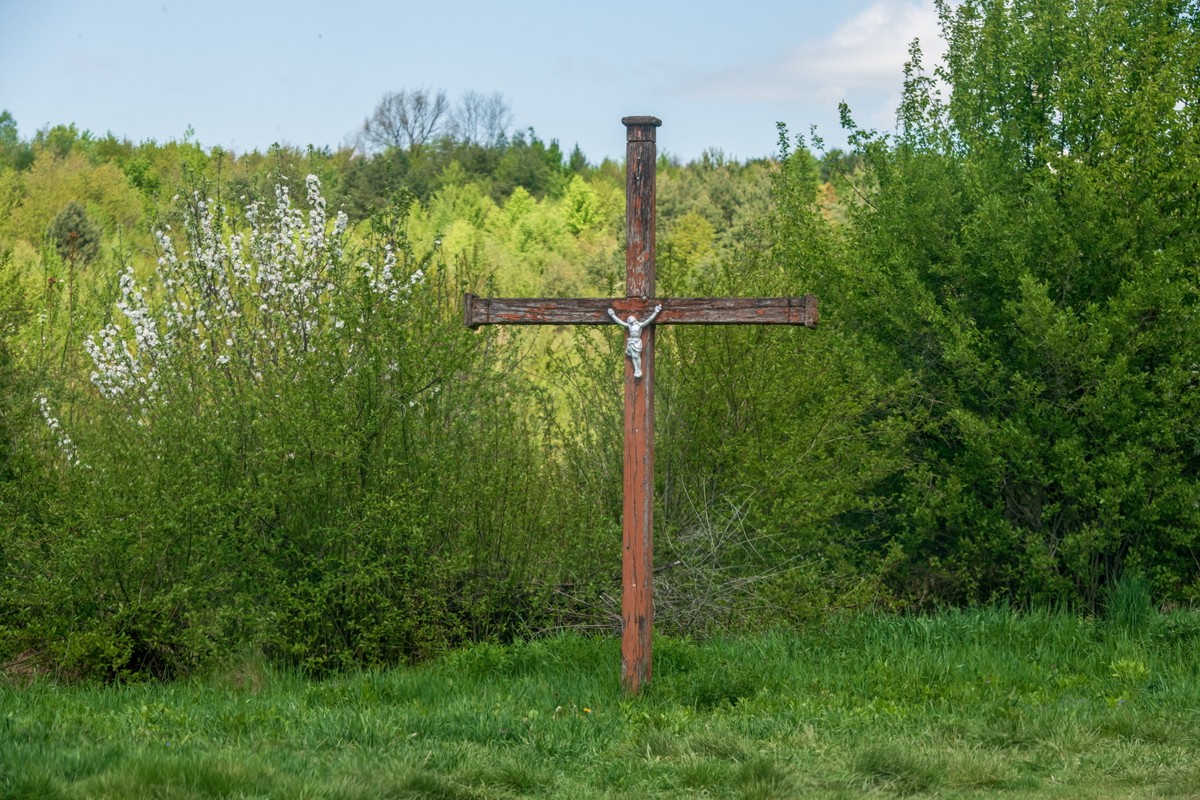 Miejsce pochówku polskich ofiar zbrodni wołyńskiej w Puźnikach w obwodzie tarnopolskim na zachodzie Ukrainy, gdzie rozpoczął się kolejny etap prac ekshumacyjnych.