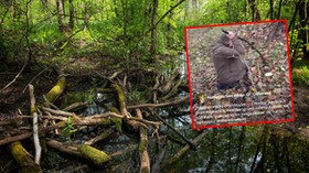 Zdjęcie do artykułu