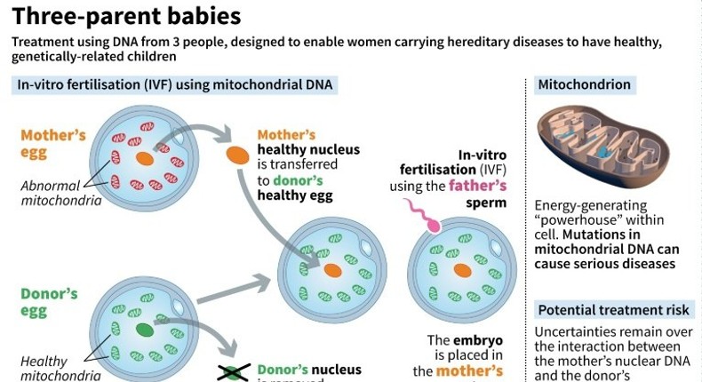 Explanation of IVF using mitochondrial DNA donation, which is designed to allow women carriers of hereditary diseases to have healthy, genetically-related children