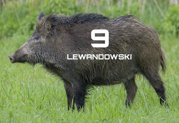 Robert Lewandowski zachwycił w meczu Bayer - Bayern. Zobacz memy